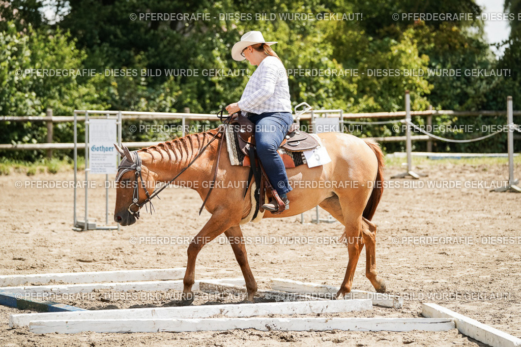 DSC07780 | Pferdegrafie