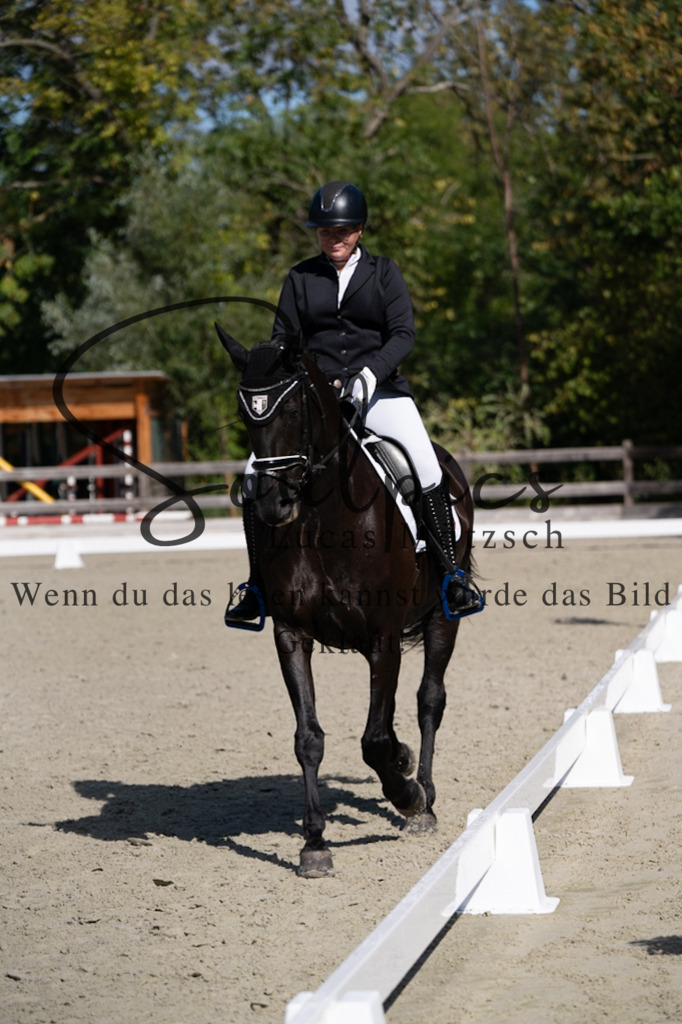 A7V07070 | Turnier/Reitfotograf