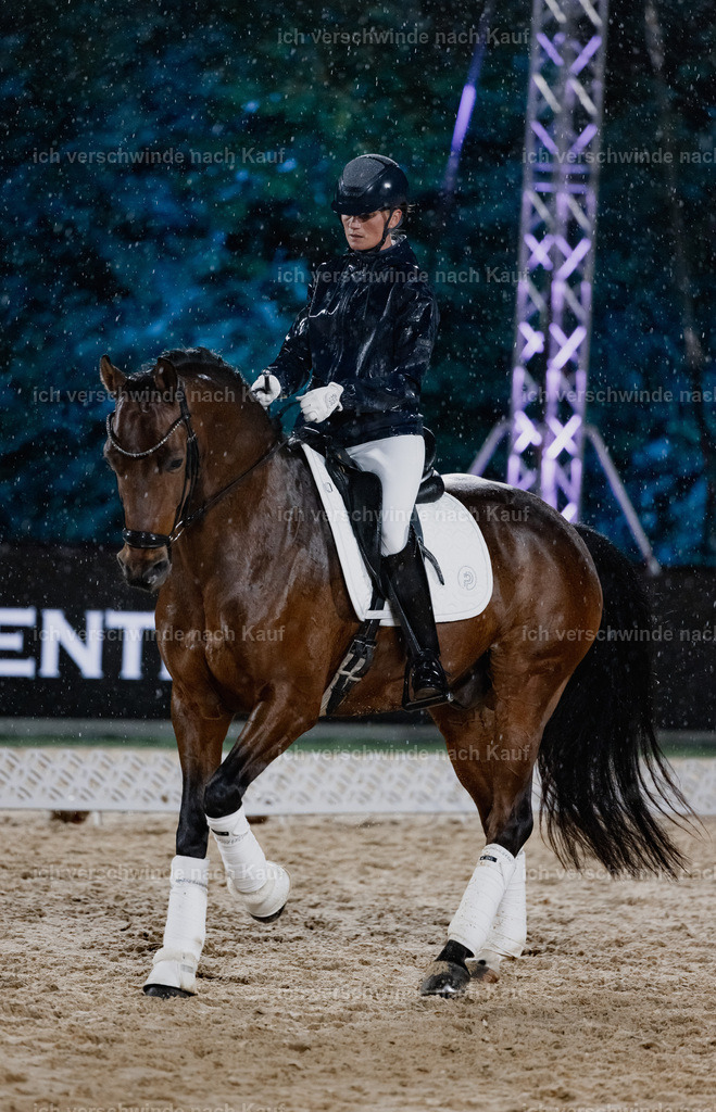 FHClassics-84 | working equitationturnier fotograf videograf stoibphotography marixx film working equitation deutschland reitsport turnierfotografie eventfotografie equestrian events