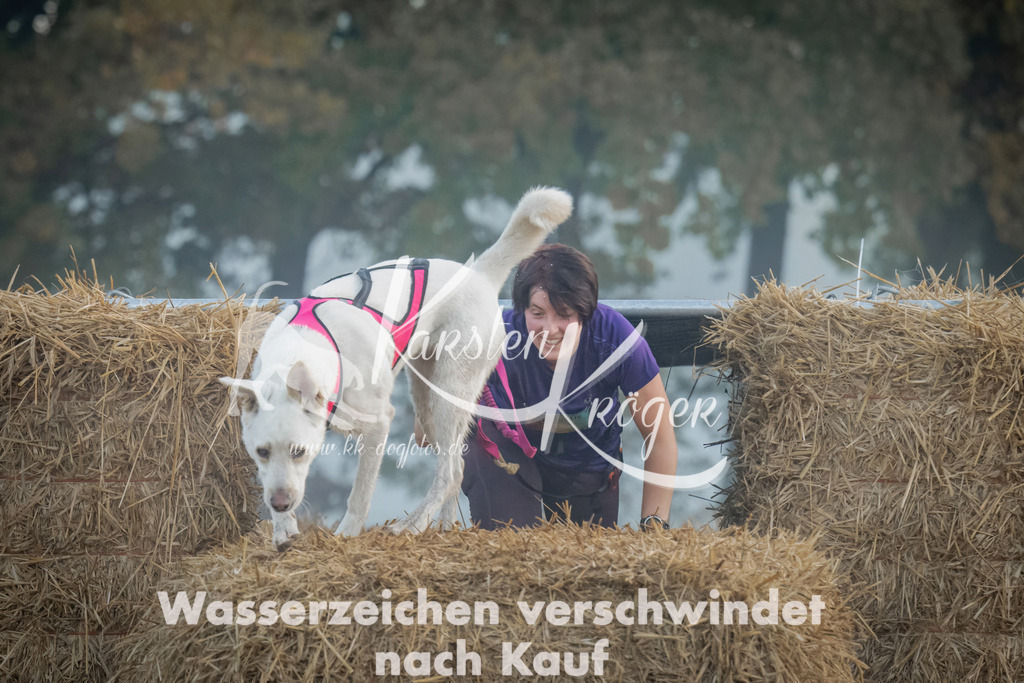 0829_ZZ98026 | kk-dogfotos