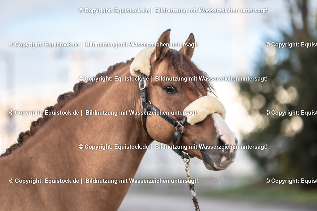 20231115_Ann-Cathrin-Rieg_und_Derrick_0022_TOMsPiC | Foto: Thomas Hartig