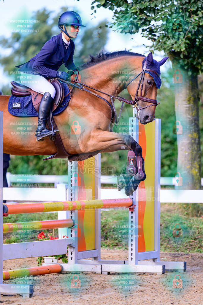 30082026-Giesenbach-Prfg16-0058 | Fokus Hufschlag Fotografie - Realisiert mit Pictrs.com