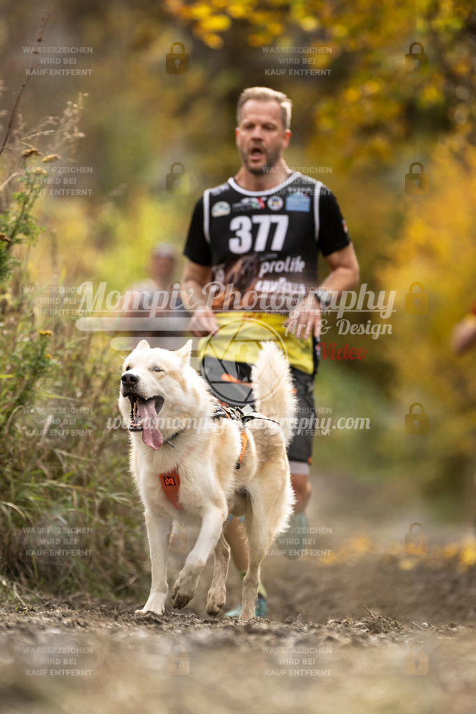 MompixPhotography_ICF_WC_2024_SA_Run_-326 | PayLife