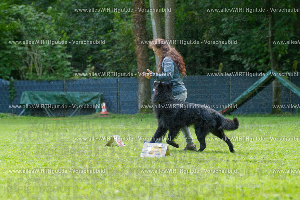 @allesWIRTHgut_Tierfotografie - www.allesWIRTHgut.de - 7R505727 | Professionelle Tierfotografie in Mönchengladbach von Daniel Wirth (allesWIRTHgut). Liebevolle & natürliche Bilder von Hunden & Katzen für unvergessliche Erinnerungen.