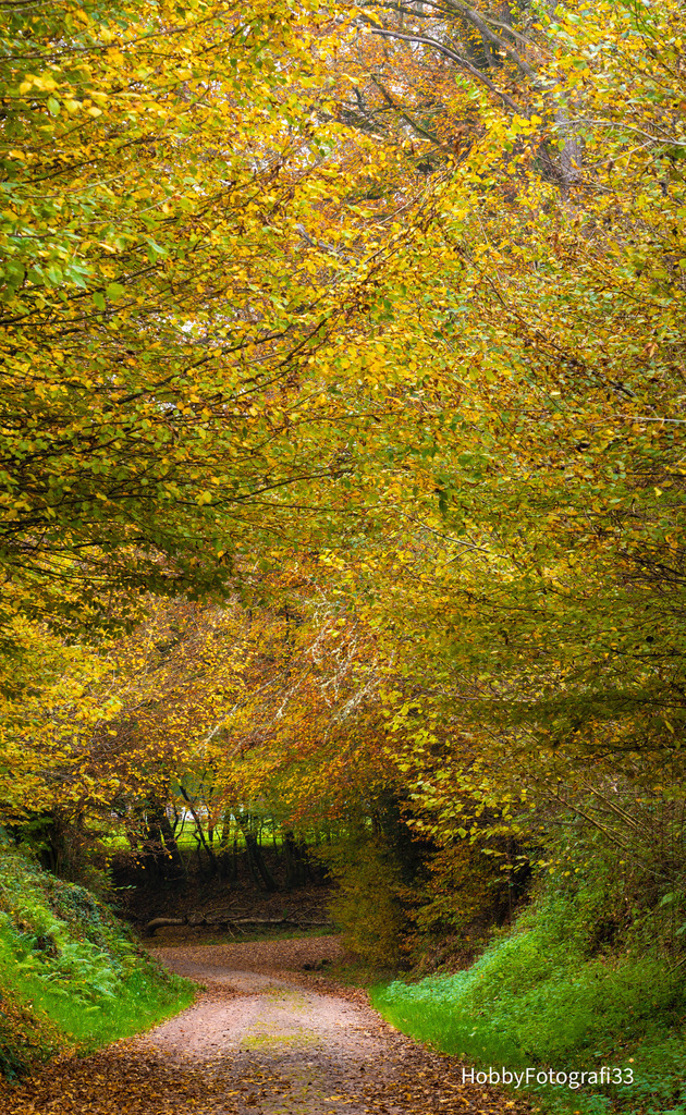 DSC04783 | fotografie33