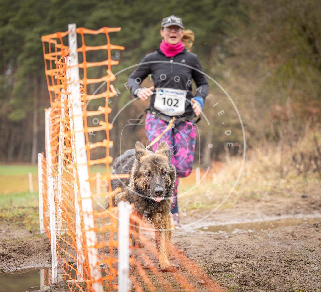 DV3A0590 | Hundefotografie, Tierfotograf, Pfotenfotografie, Fotoshooting Hund, Hunde Portrait, Hundesport, Hundeportraits, Heideshooting, Hunde, Sportfotograf, Hundefotograf, Turnierhundsport, THS,  - Realisiert mit Pictrs.com
