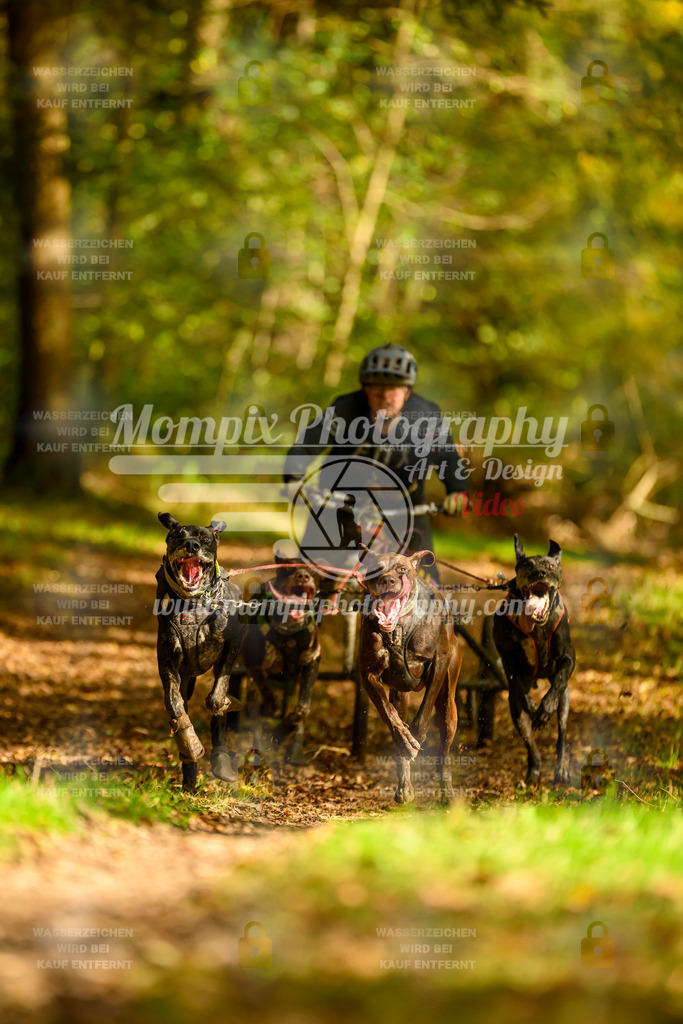 MompixPhotography_20TSB_E1_Kart-1 | PayLife