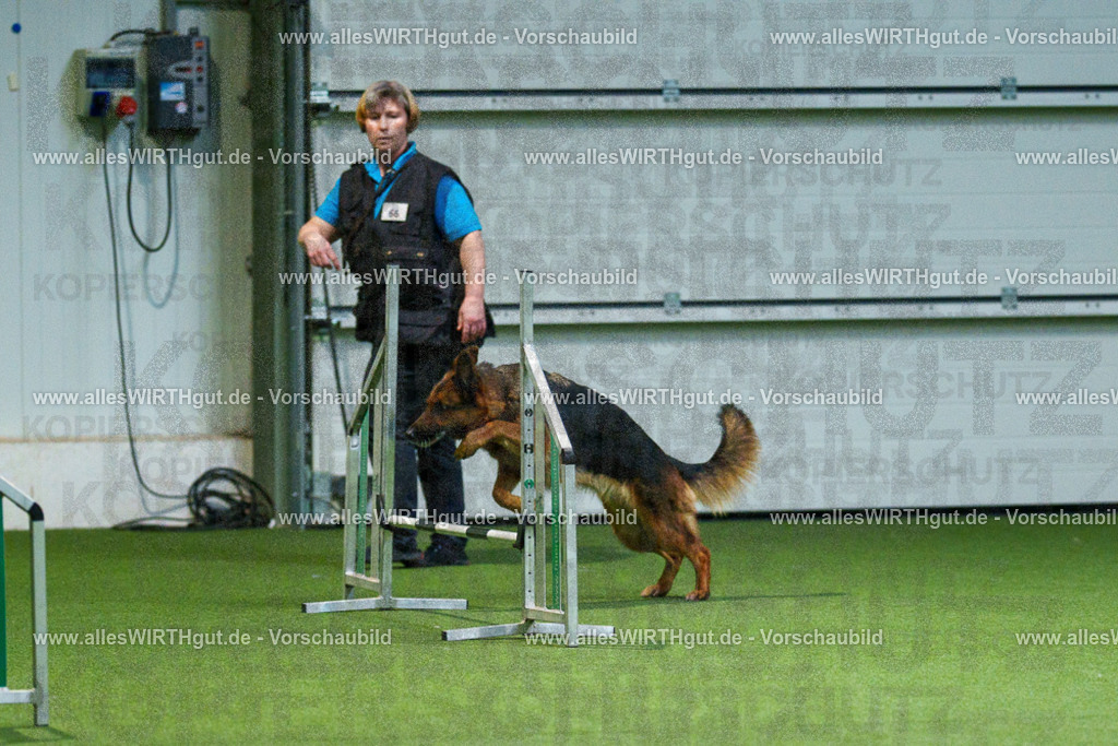 7R507993 | Professionelle Tierfotografie in Mönchengladbach von Daniel Wirth (allesWIRTHgut). Liebevolle & natürliche Bilder von Hunden & Katzen für unvergessliche Erinnerungen.