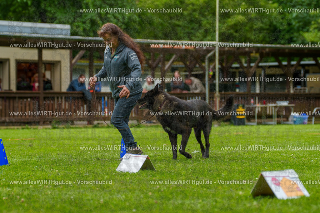 @allesWIRTHgut_Tierfotografie - www.allesWIRTHgut.de - 135556-7R500204 | Professionelle Tierfotografie in Mönchengladbach von Daniel Wirth (allesWIRTHgut). Liebevolle & natürliche Bilder von Hunden & Katzen für unvergessliche Erinnerungen.