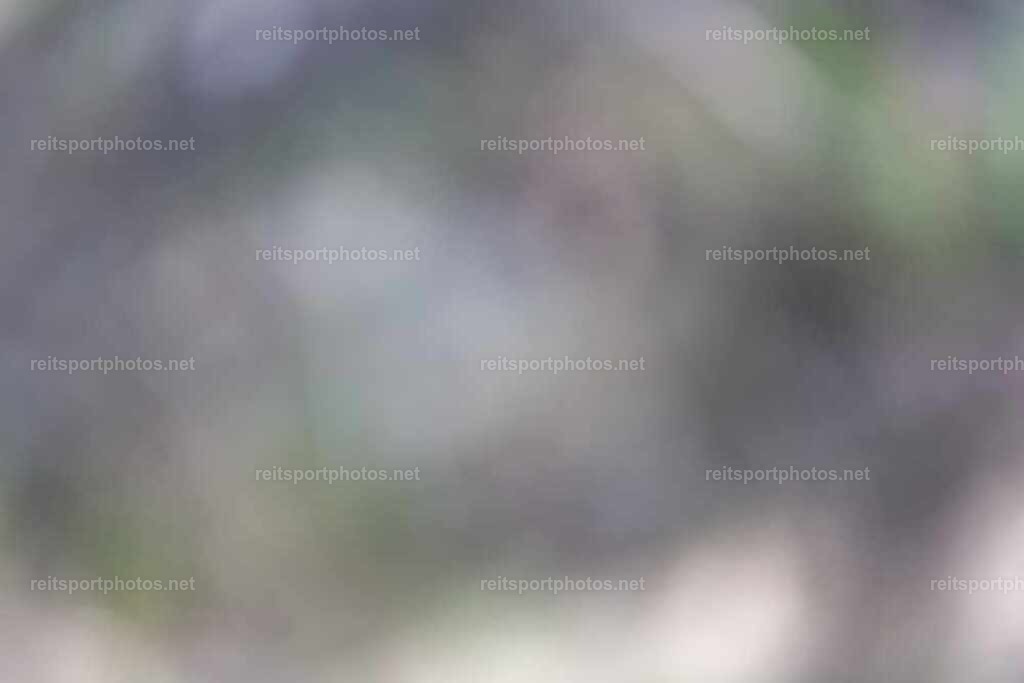 JoYaR3_Heidehof_01622 | JoYa Fotografie - Realisiert mit Pictrs.com