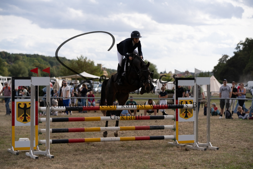 A7V09766 | Pferdefotograf