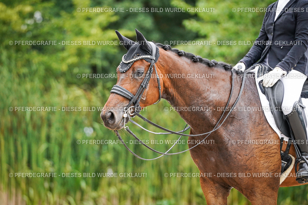 DSC08332 | Pferdegrafie