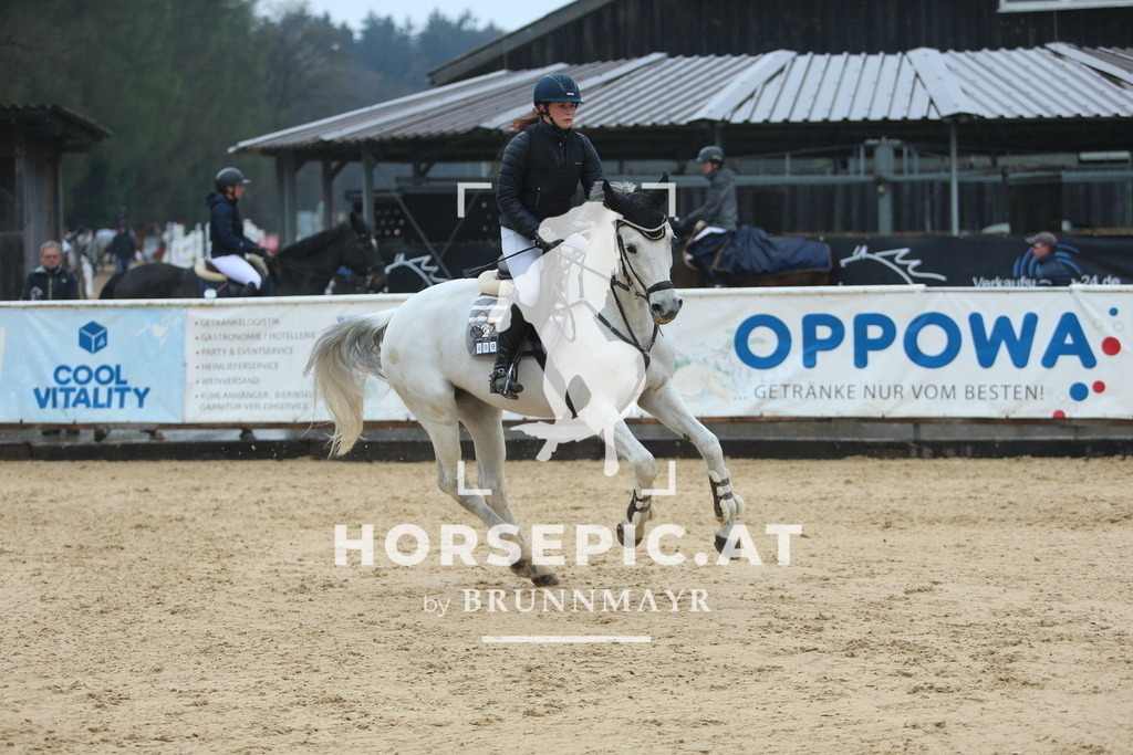 DL2Q6903 | Willkommen bei Brunnmayr - Design & Fotografie – Ihrem Spezialisten für Reitturniere und Pferdeveranstaltungen in Oberösterreich, Salzburg und Bayern! Seit über 17 Jahren sind wir leidenschaftlich dabei.