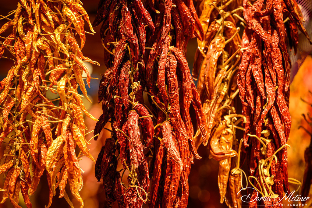 Barcelona in Spanien | Bilder aus Barcelona in Spanien