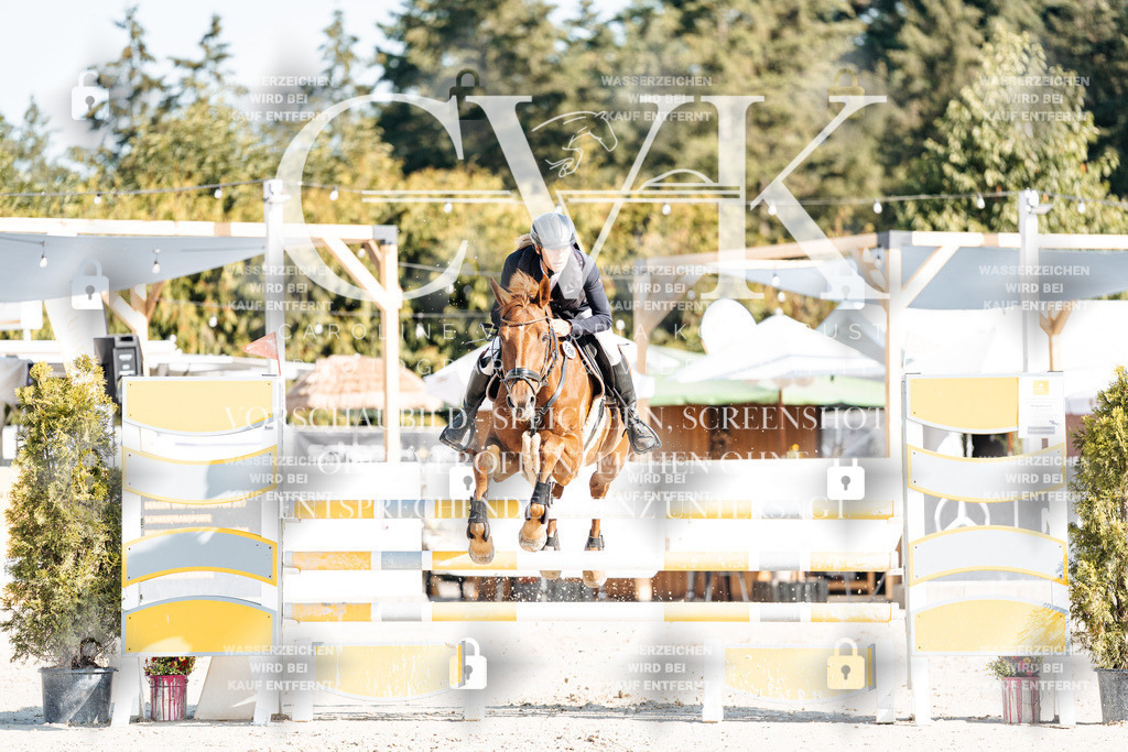 CK901778 | Turnierfotografie Pferdefotografie Trier Rheinland-Pfalz Pferdesport Reitsport Tierfotografie Sportfotografie Pferdevideo Pferdevideografie Equestrianvideography equestrianphotography  - Realisiert mit Pictrs.com