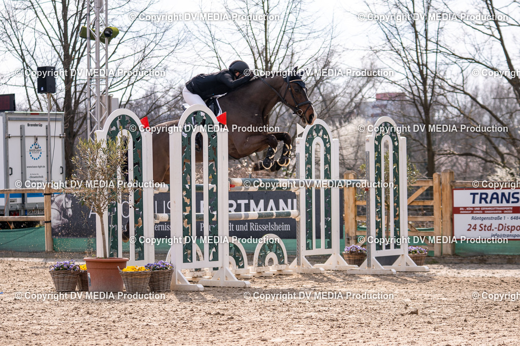 Kranichstein Tag 2-1966 | dv-media-shop - Realisiert mit Pictrs.com