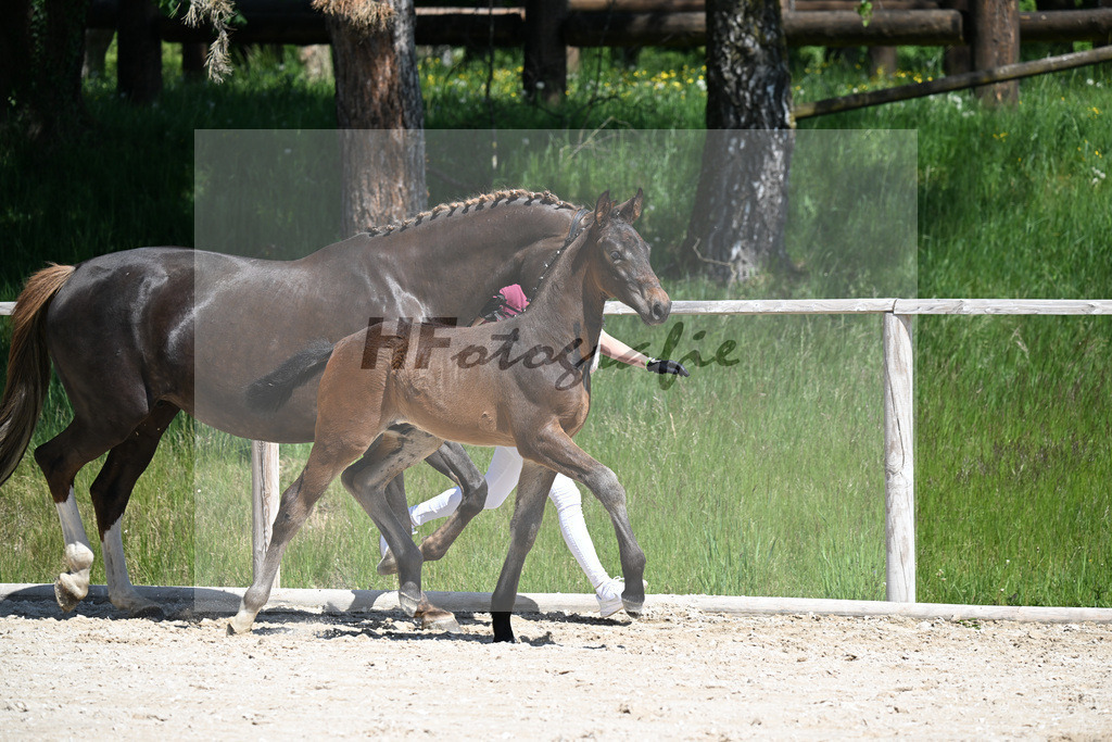Cornet Obolensky x Kannan_HF_Schroetzlmair_10250186 | hf-fotografie - Realizzato con Pictrs.com