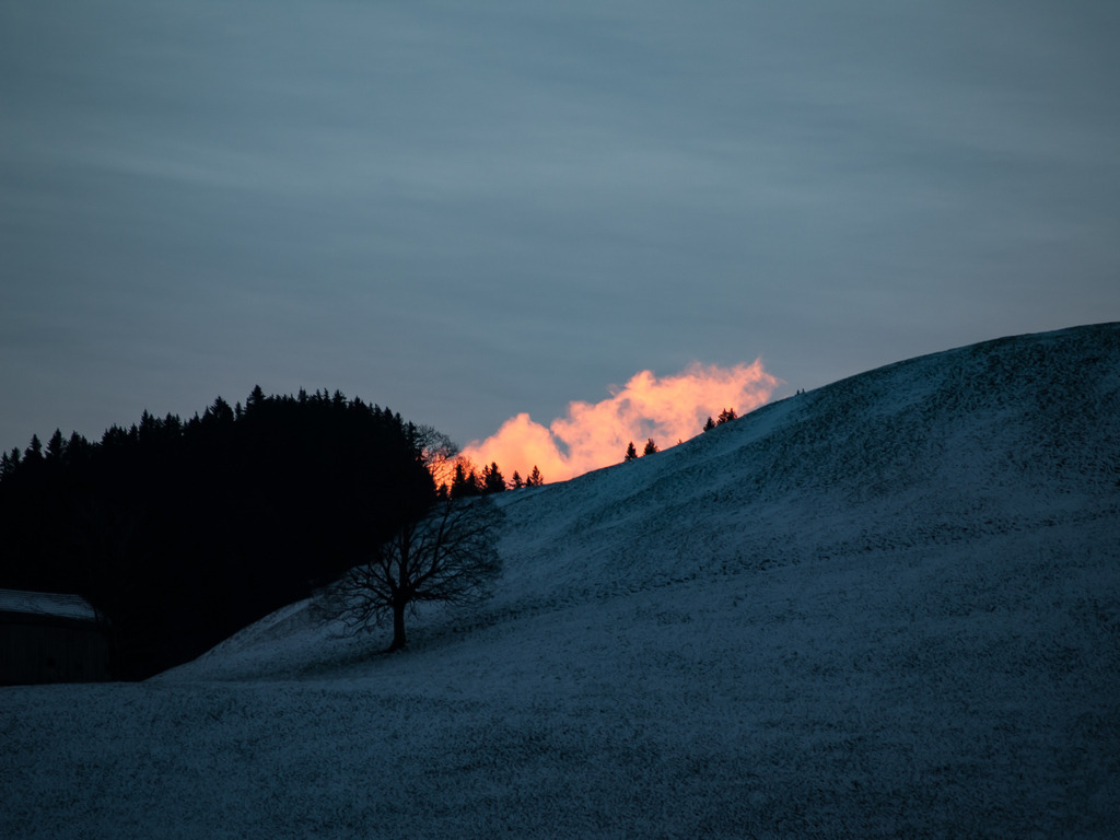 PSX_20230111_224103 | OLYMPUS DIGITAL CAMERA - Realisiert mit Pictrs.com