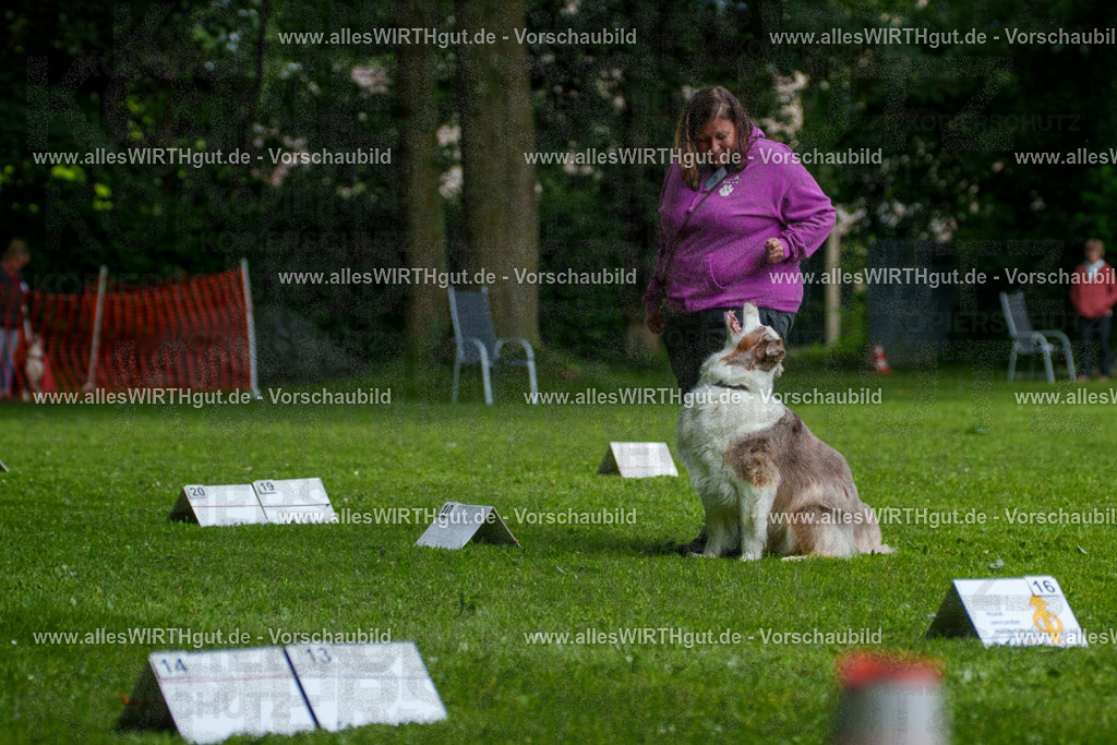 @allesWIRTHgut_Tierfotografie - www.allesWIRTHgut.de - 7R503301 | Professionelle Tierfotografie in Mönchengladbach von Daniel Wirth (allesWIRTHgut). Liebevolle & natürliche Bilder von Hunden & Katzen für unvergessliche Erinnerungen.
