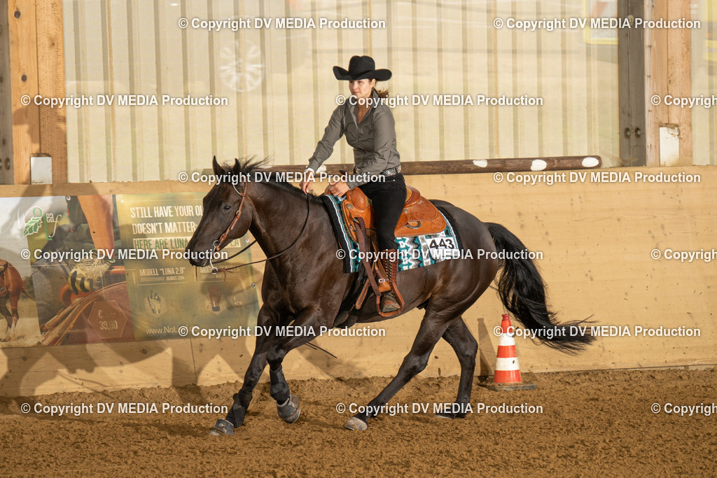 LAU00754 | dv-media-shop - Realisiert mit Pictrs.com