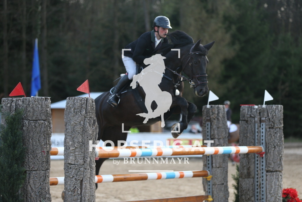 AS8V3397 | Willkommen bei Brunnmayr - Design & Fotografie – Ihrem Spezialisten für Reitturniere und Pferdeveranstaltungen in Oberösterreich, Salzburg und Bayern! Seit über 17 Jahren sind wir leidenschaftlich dabei.