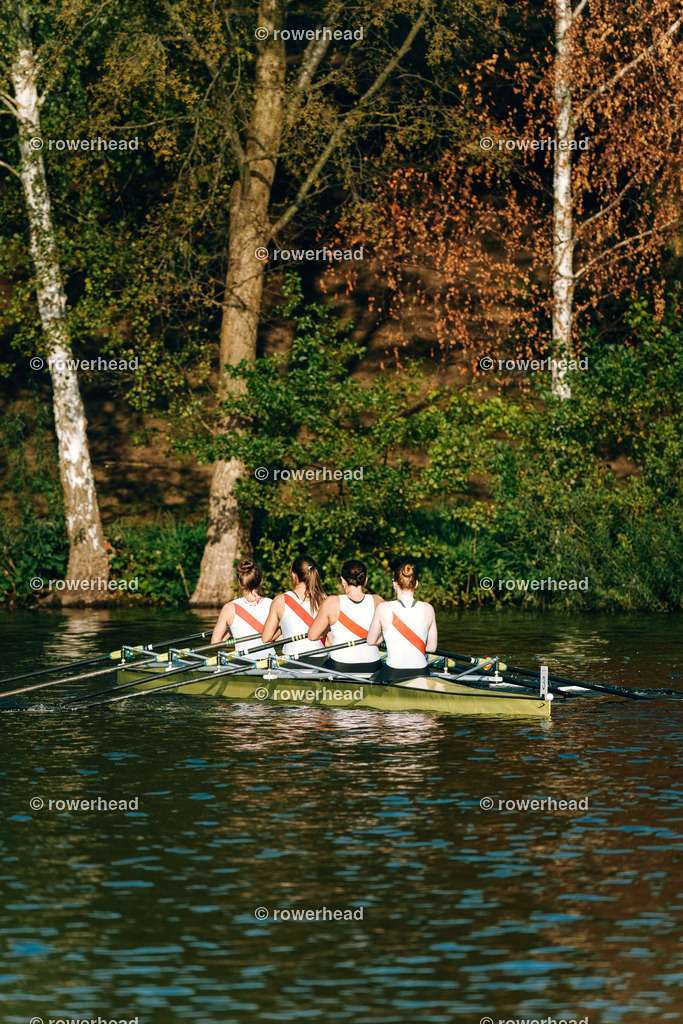 20240921_rowerhead_R61_S0010_DSC09869 | rowerhead - Realisiert mit Pictrs.com