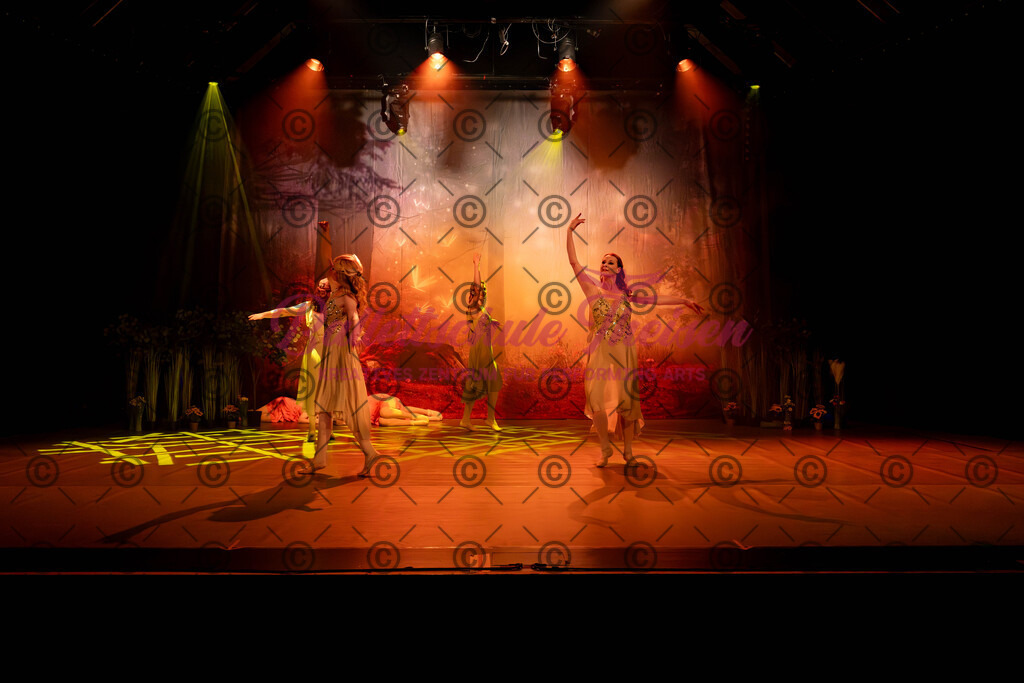 Ballettaufführung-545 | Bildershop Lem'n Entertainment - Realisiert mit Pictrs.com