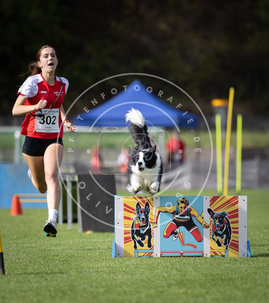 Pfotenfotografie_DV3A1203 | Hundefotografie, Tierfotograf, Pfotenfotografie, Fotoshooting Hund, Hunde Portrait, Hundesport, Hundeportraits, Heideshooting, Hunde, Sportfotograf, Hundefotograf, Turnierhundsport, THS,  - Realisiert mit Pictrs.com