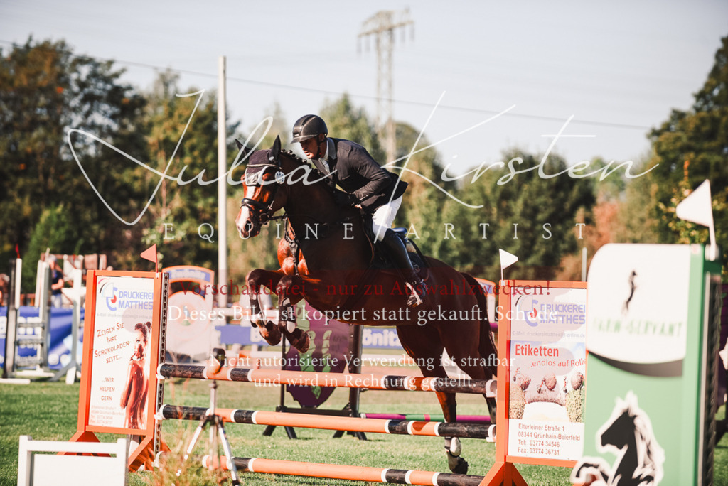 DSC_2209 | Pferde- und Turnierfotografie in Westsachsen. Pferdeportraits, Auftragszeichnungen und intuitive Kunst.
