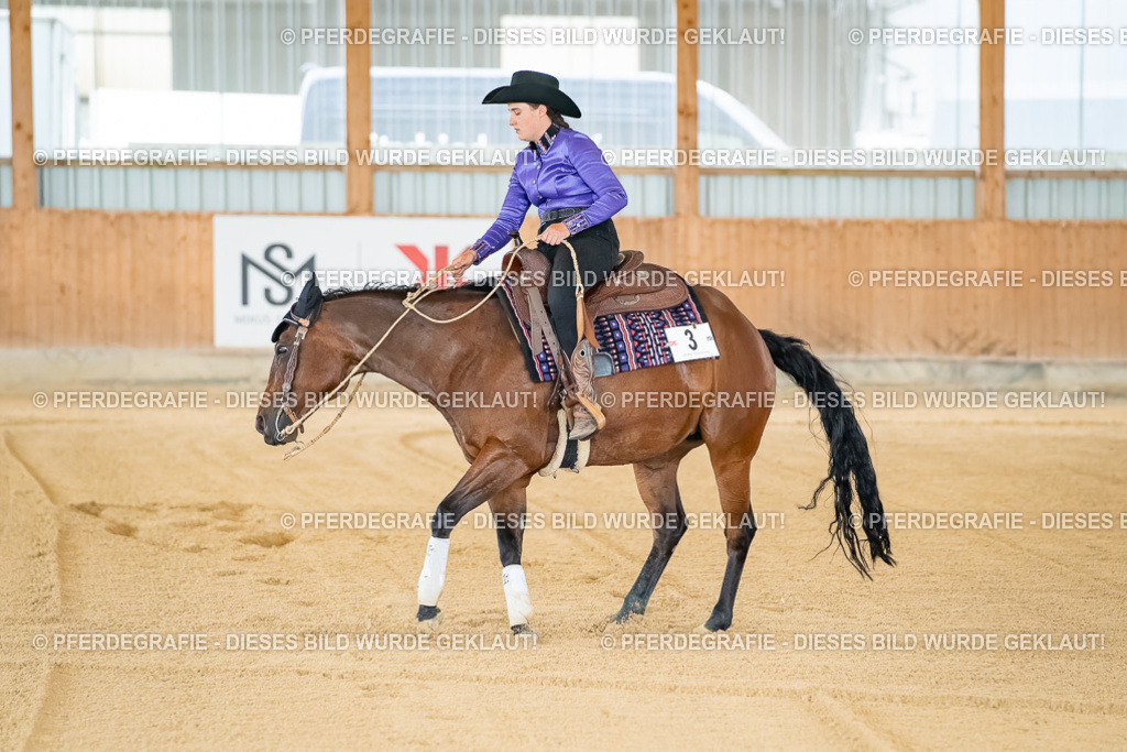 DSC07627 | Pferdegrafie