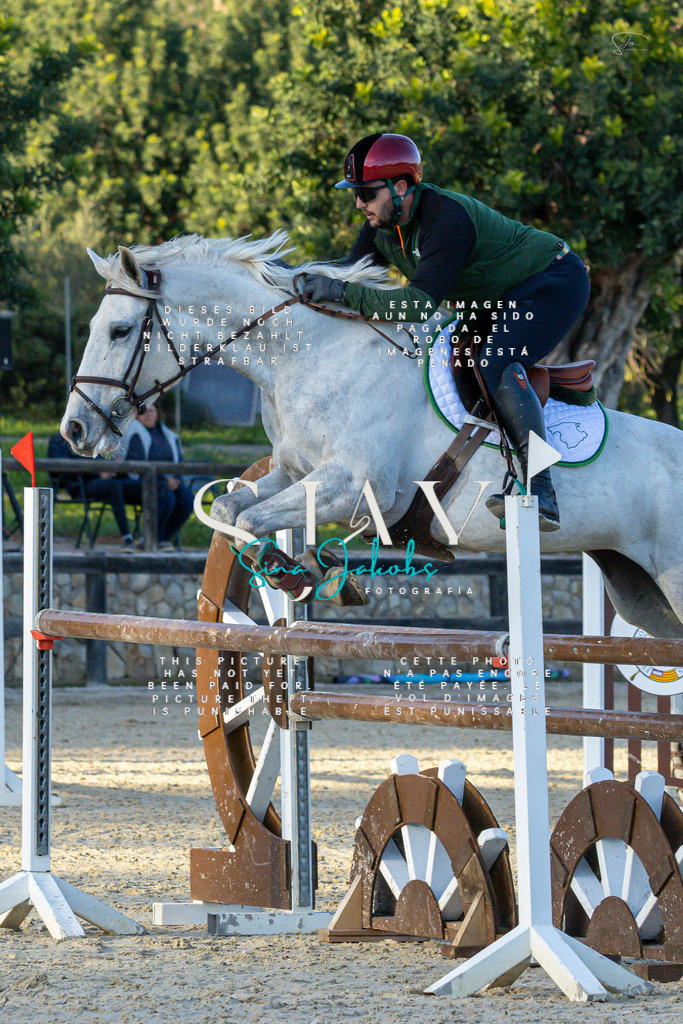 IMG_2300 | s-jay-photography - Realisiert mit Pictrs.com