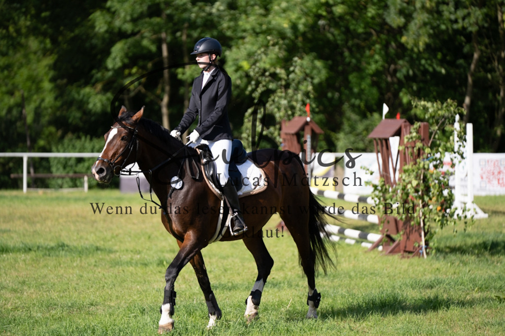 A7V05212 | Pferdefotograf