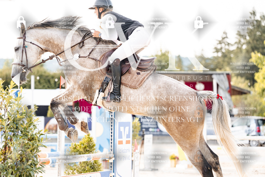 CK906736 | Turnierfotografie Pferdefotografie Trier Rheinland-Pfalz Pferdesport Reitsport Tierfotografie Sportfotografie Pferdevideo Pferdevideografie Equestrianvideography equestrianphotography  - Realisiert mit Pictrs.com