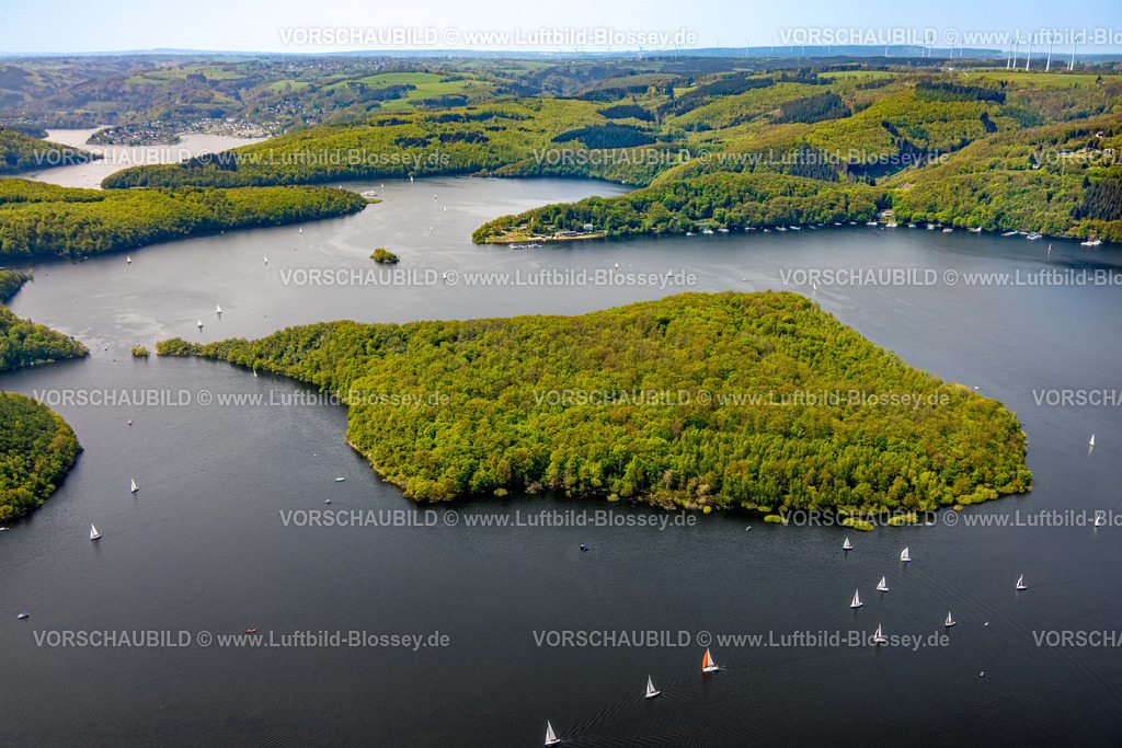 Heimrath240501819Rursee | Luftbild, Rursee mit Insel Eichert, Rurtalsperre Schwammenauel und Rursee-Schifffahrt mit Segelbooten, Waldgebiet Hügel und Täler, Nationalpark Eifel, Hasenfeld, Heimbach, Nordrhein-Westfalen, Deutschland