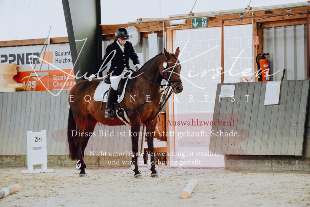 DSC_6787 | Pferde- und Turnierfotografie in Westsachsen. Pferdeportraits, Auftragszeichnungen und intuitive Kunst.