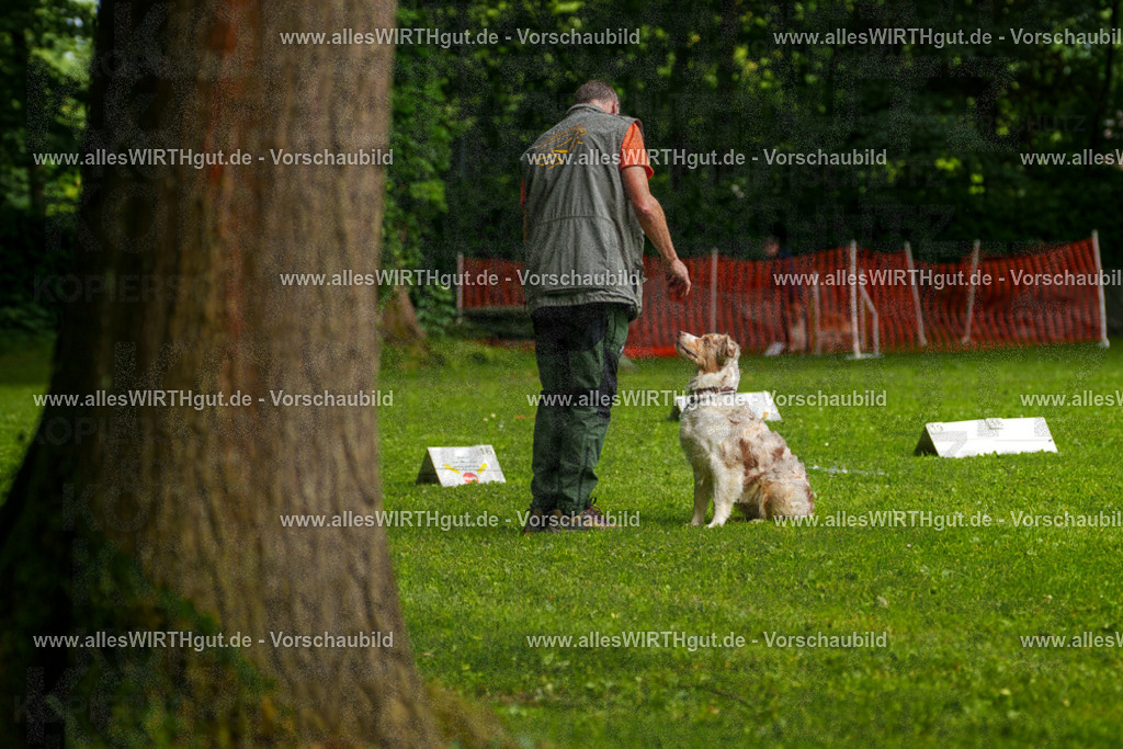 @allesWIRTHgut_Tierfotografie - www.allesWIRTHgut.de - 7R502849 | Professionelle Tierfotografie in Mönchengladbach von Daniel Wirth (allesWIRTHgut). Liebevolle & natürliche Bilder von Hunden & Katzen für unvergessliche Erinnerungen.