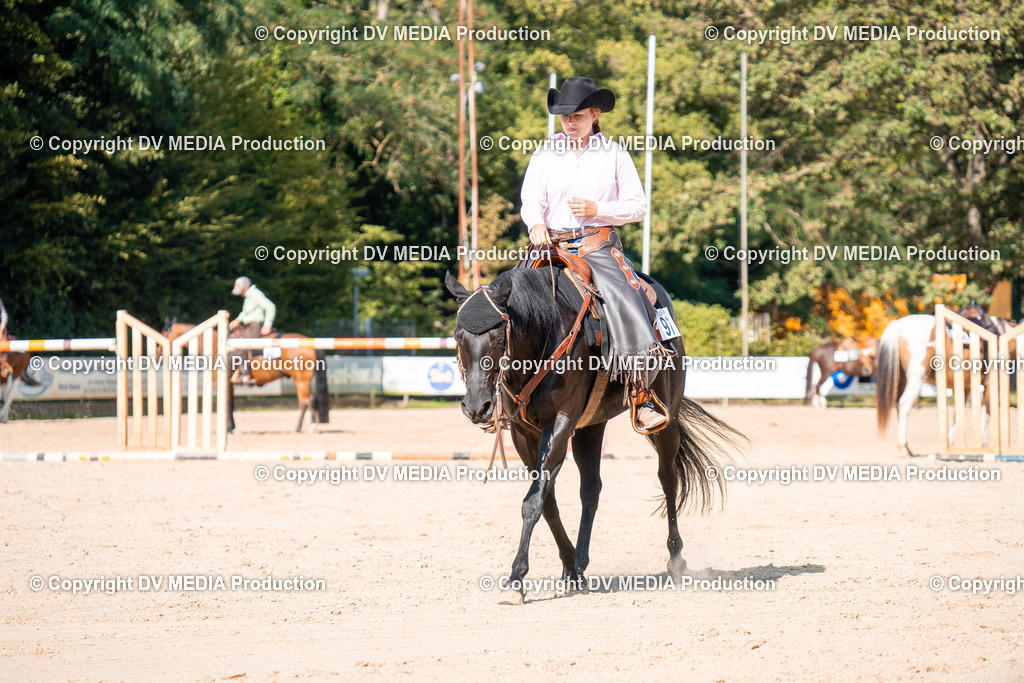 ZH100725 | dv-media-shop - Realisiert mit Pictrs.com