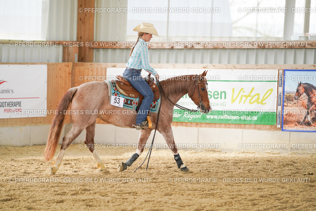 DSC05686 | Pferdegrafie