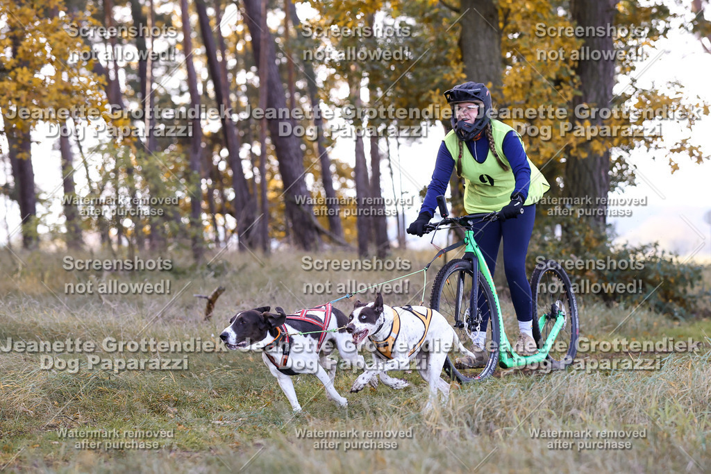 Dog Paparazzi - Elsholz 25 -60 | Dog Paparazzi Jeanette Grottendiek Fotografie & Videografie - Realisiert mit Pictrs.com