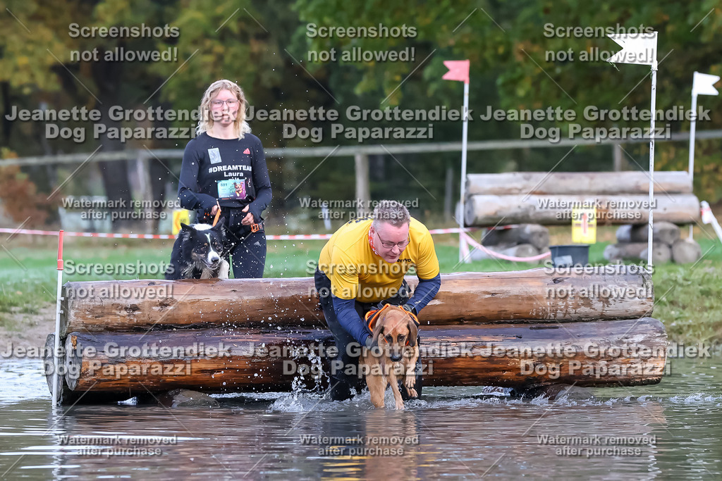 Dog Paparazzi - Strongdog 10-25-6403 | Dog Paparazzi Jeanette Grottendiek Fotografie & Videografie - Realisiert mit Pictrs.com