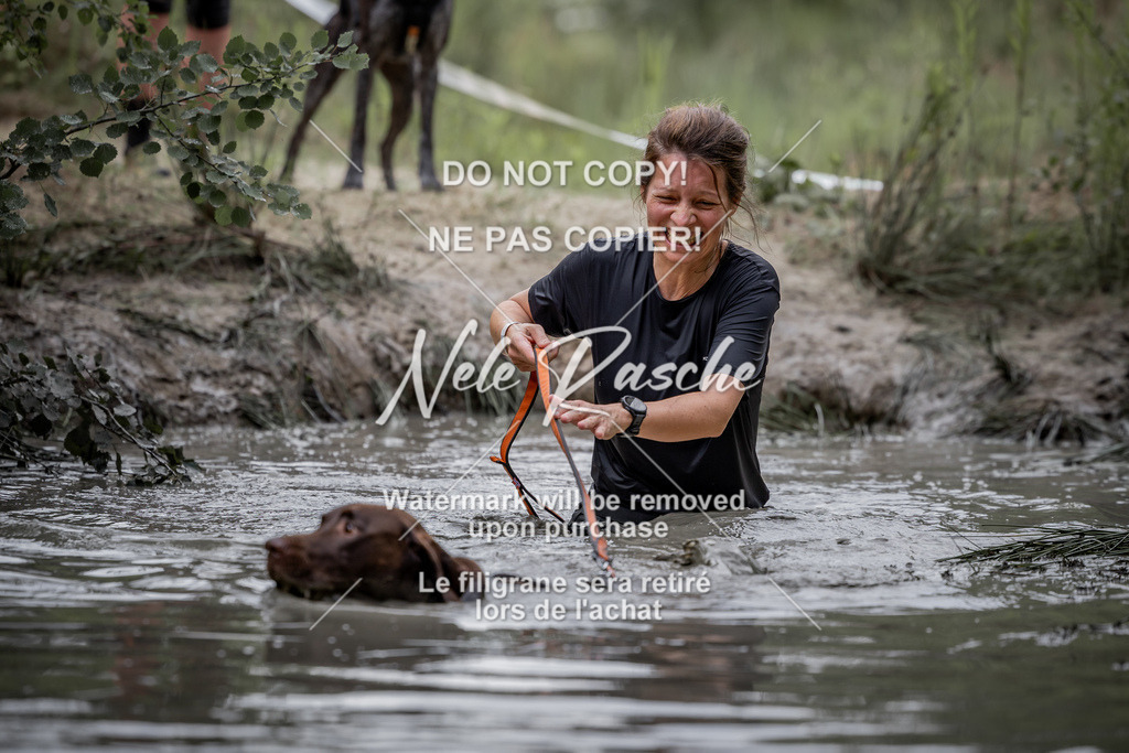 nelerasche_so0800-0930_332 | nelerasche