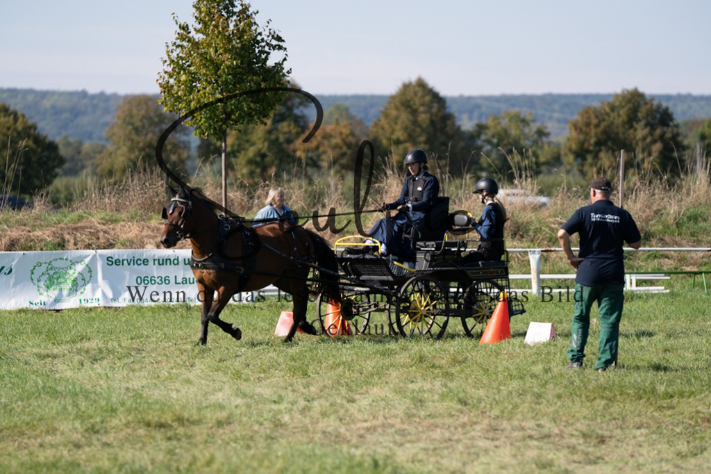 A7V04404 | Pferdefotograf