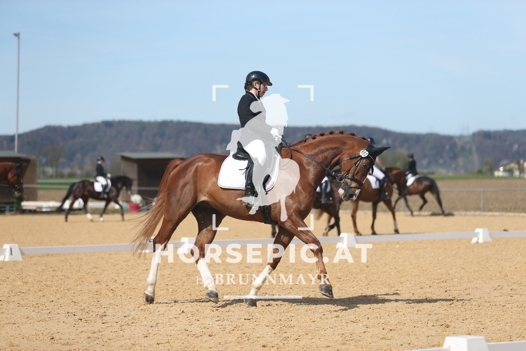 AS8V3120 | Willkommen bei Brunnmayr - Design & Fotografie – Ihrem Spezialisten für Reitturniere und Pferdeveranstaltungen in Oberösterreich, Salzburg und Bayern! Seit über 17 Jahren sind wir leidenschaftlich dabei.