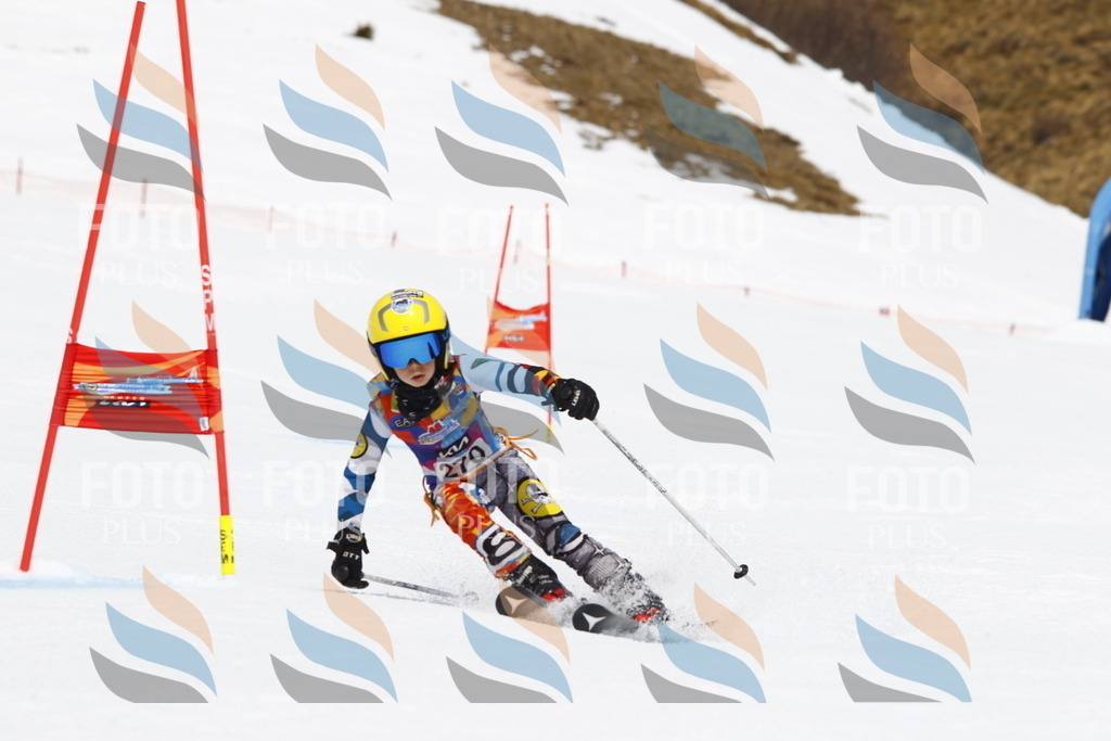 _U3G6766 | holidayphoto