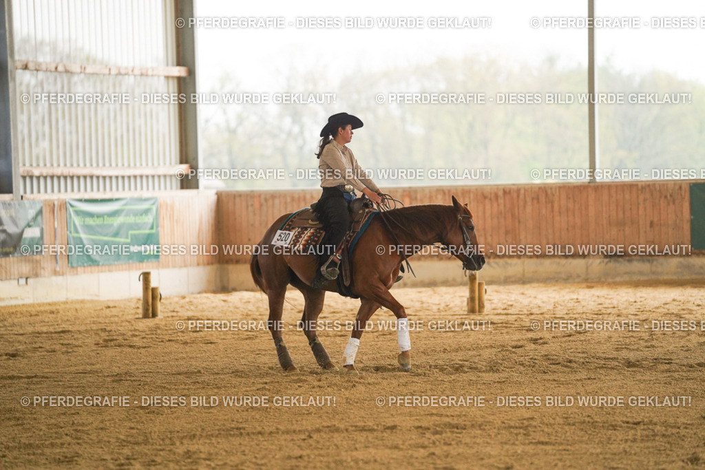 DSC00089 | Pferdegrafie