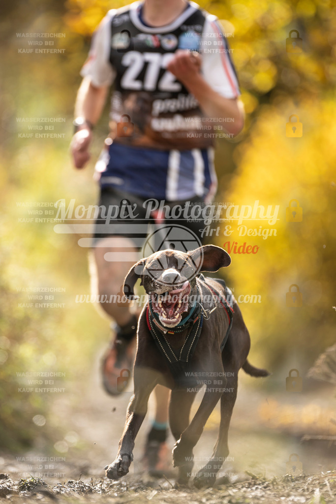 MompixPhotography_ICF_WC_2024_SA_Run_-74 | PayLife