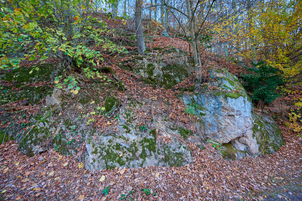 Im Tharanther Wald 04 | Bedeutsame Landschaften Deutschlands - Realisiert mit Pictrs.com