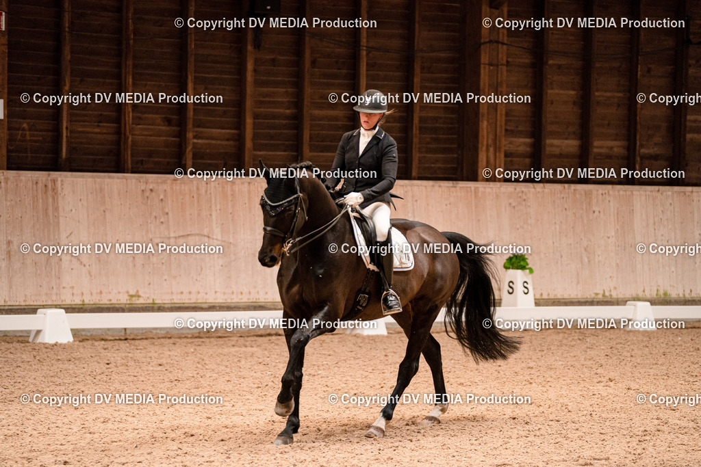 Dressur Tag 1 -253 | dv-media-shop - Realisiert mit Pictrs.com