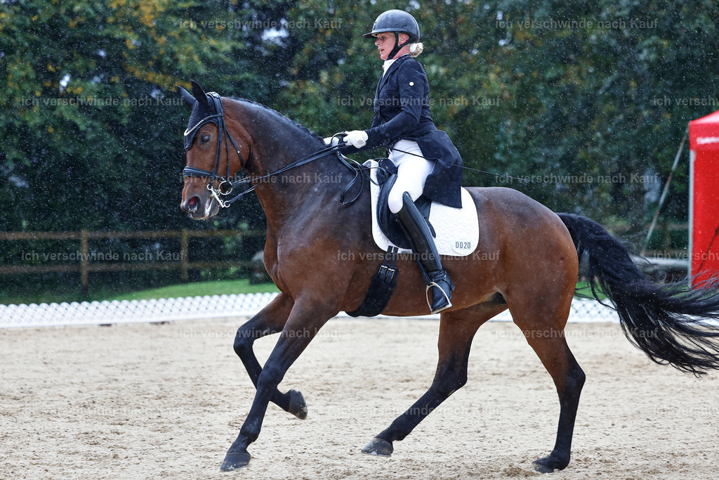 8_1-020-Klasse S_  -StoibPH-3994 | working equitationturnier fotograf videograf stoibphotography marixx film working equitation deutschland reitsport turnierfotografie eventfotografie equestrian events