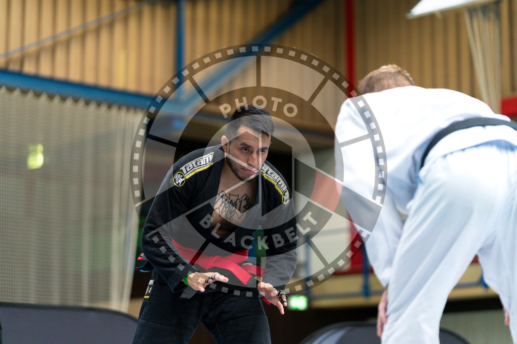 20240908PBB3751 | Athletes compete during the AJP Hamburg competition on September 8, 2024 in Hamburg, northern Germany.